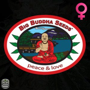 Big Buddha Seeds Feminized