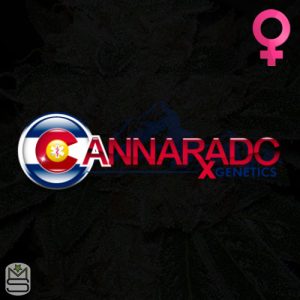 Cannarado Genetics Feminized