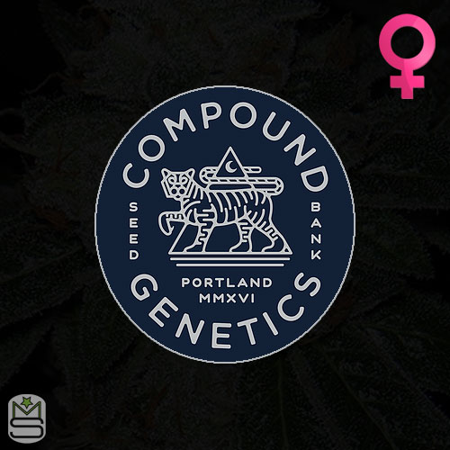 Compound Genetics - Feminized