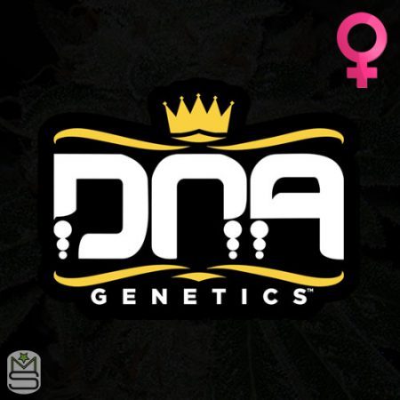 DNA Genetics Feminized