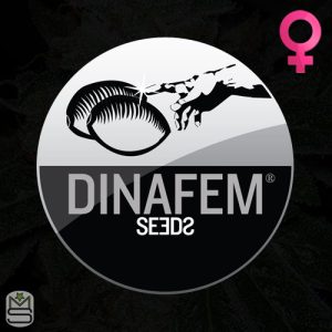 Dinafem Seeds Feminized