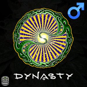 Dynasty Genetics - Regular