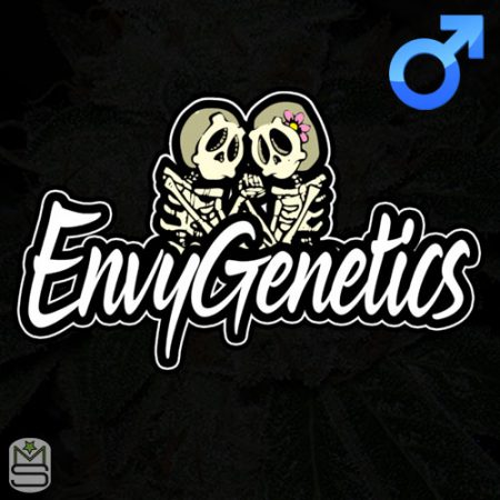 Envy Genetics - Regular