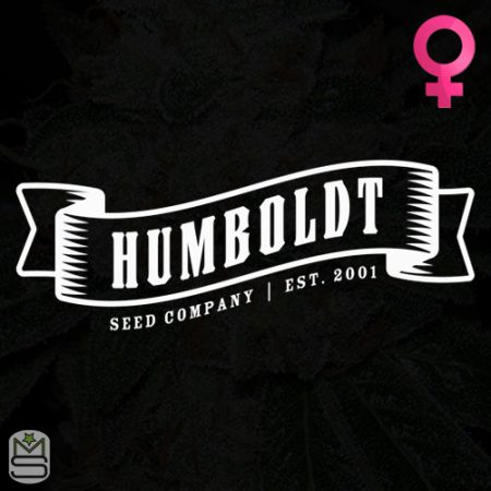 Humboldt Seed Company - Feminized