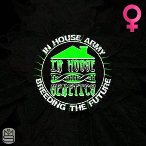 In House Genetics - Feminized