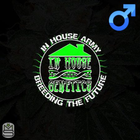 In House Genetics - Regular