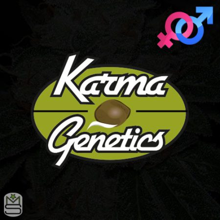 Karma Genetics Regular & Feminized
