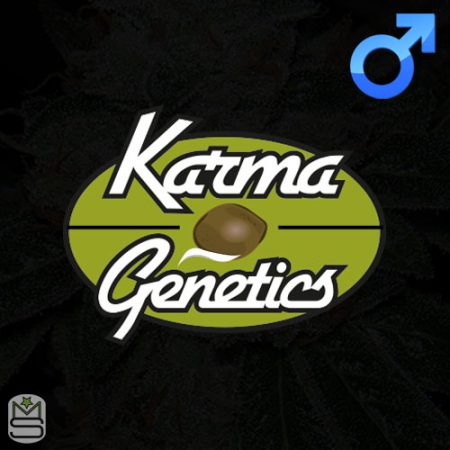 Karma Genetics Regular