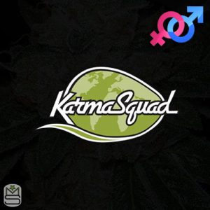 Karma Squad Regular & Feminized