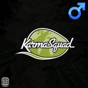 Karma Squad Regular