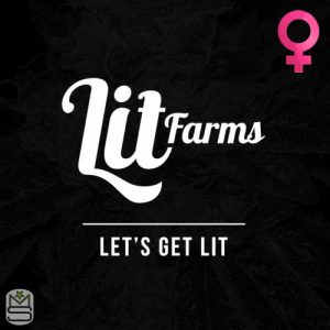 Lit Farms - Feminized