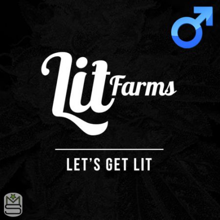 Lit Farms - Regular
