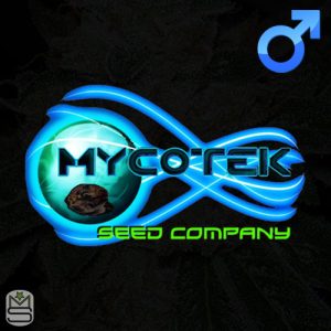 Mycotek Seeds Regular