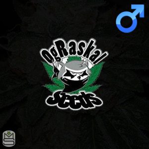 OG Raskal Seeds Regular