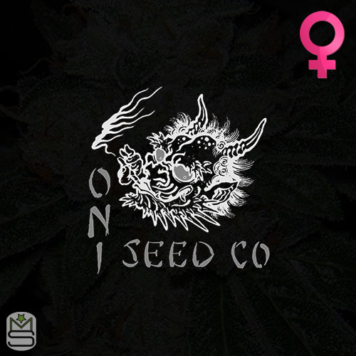 Oni Seeds Co Feminized