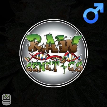 Raw Genetics Regular