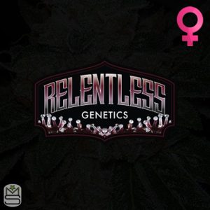 Relentless Genetics Feminized