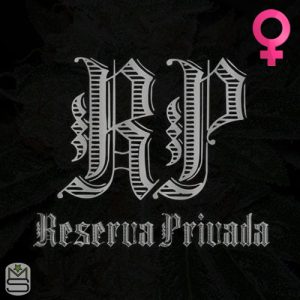 Reserva Privada Feminized