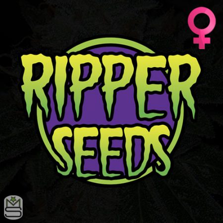 Ripper Seeds Feminized