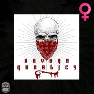 Savage Genetics - Feminized