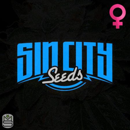 SinCity Seeds - Feminized