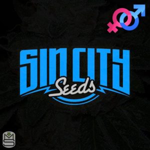 SinCity Seeds - Regular & Feminized