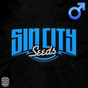 SinCity Seeds - Regular