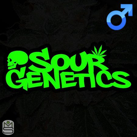Sour Genetics - Regular