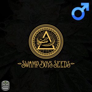 Swamp Boys Seeds Regular