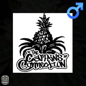 The Captains Connection - Regular