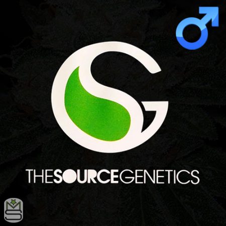 The Source Genetics Regular