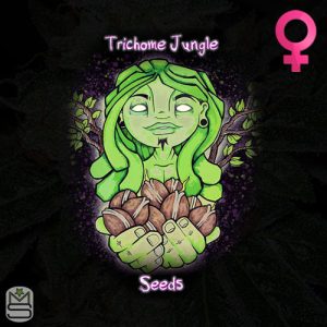 Trichome Jungle Seeds Feminized
