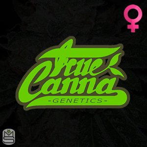 True Canna Genetics Feminized