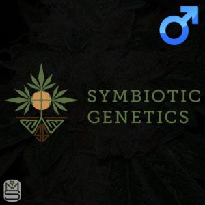 Symbiotic Genetics - Dosi Punch