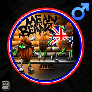Mean Beanz - Regular