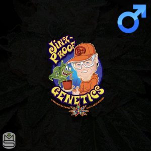 Jinxproof Genetics - Regular