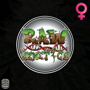 Raw Genetics Feminized