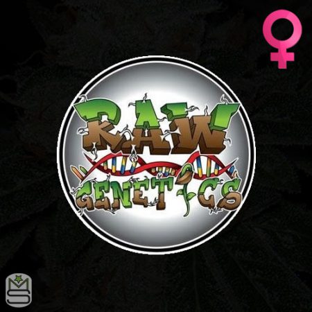 Raw Genetics Feminized
