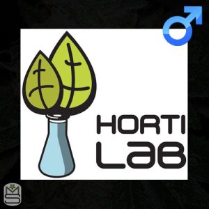 HortiLab Seeds - Regular