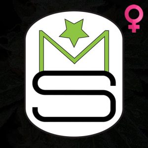 Manchester Seedbank - Feminized