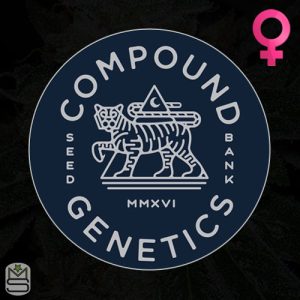 Compound Genetics - Feminized