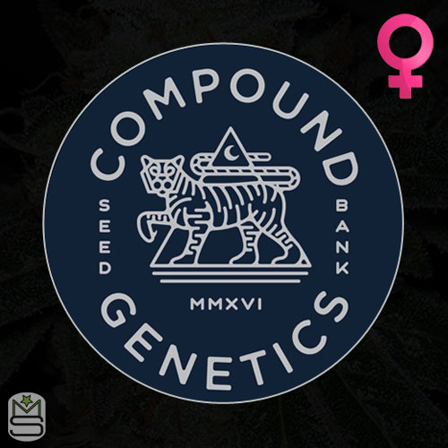 Compound Genetics - Feminized