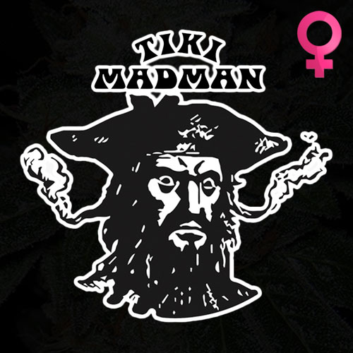 Tiki Madman - Feminized