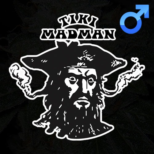 Tiki Madman - Regular