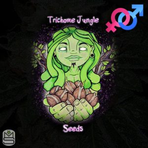 Trichome Jungle Seeds - Regular & Feminized