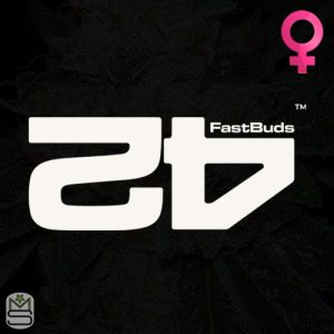 FastBuds - Feminized Cannabis Seeds